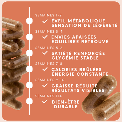 Axi-Arrae™  MB-1 - Équilibre Métabolique